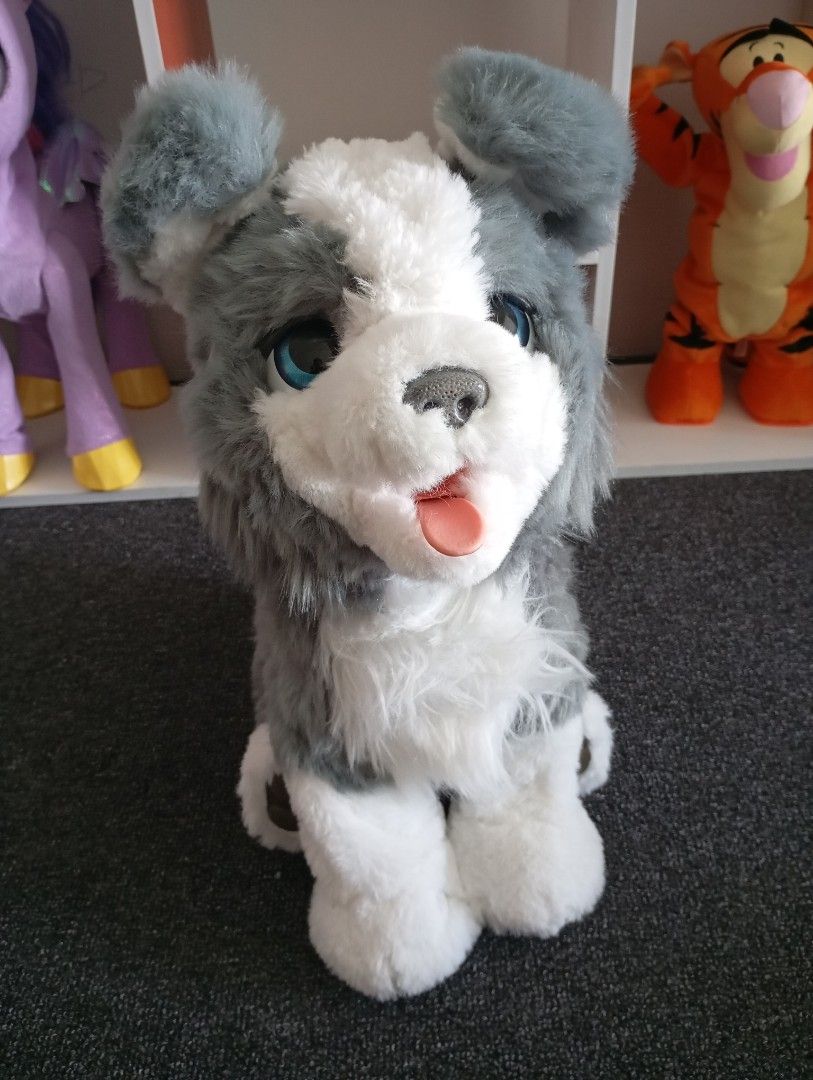 FurReal Ricky The Trick Lovin Pup Interactive Siberian Husky Puppy Dog Hobbies Toys Toys Games on Carousell