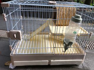 (Category: ) located in . Submitted by lamghh (Listing ID 1319176819, Image 1). Description: .
