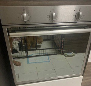 (Category: ) located in . Submitted by digibrosg (Listing ID 1319439799, Image 1). Description: .