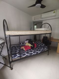 (Category: ) located in . Submitted by ppppppppy (Listing ID 1319344629, Image 1). Description: .