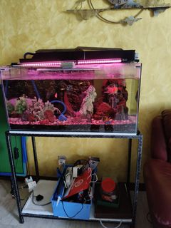 (Category: ) located in . Submitted by yangsliving (Listing ID 1319367331, Image 1). Description: .
