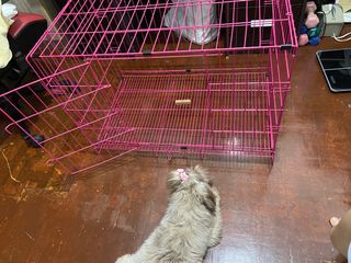 (Category: ) located in . Submitted by shin.hook_ph (Listing ID 1318999213, Image 1). Description: .