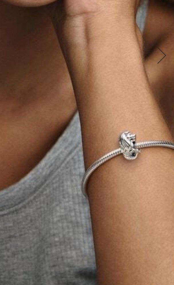 Pandora merlion charm shop