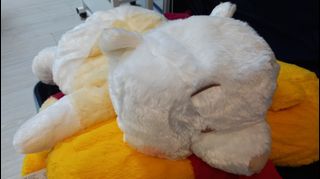 （分類：）位於 。 由 gt00001 提交（商品編號 1319498458，圖片 1）。簡介： 。