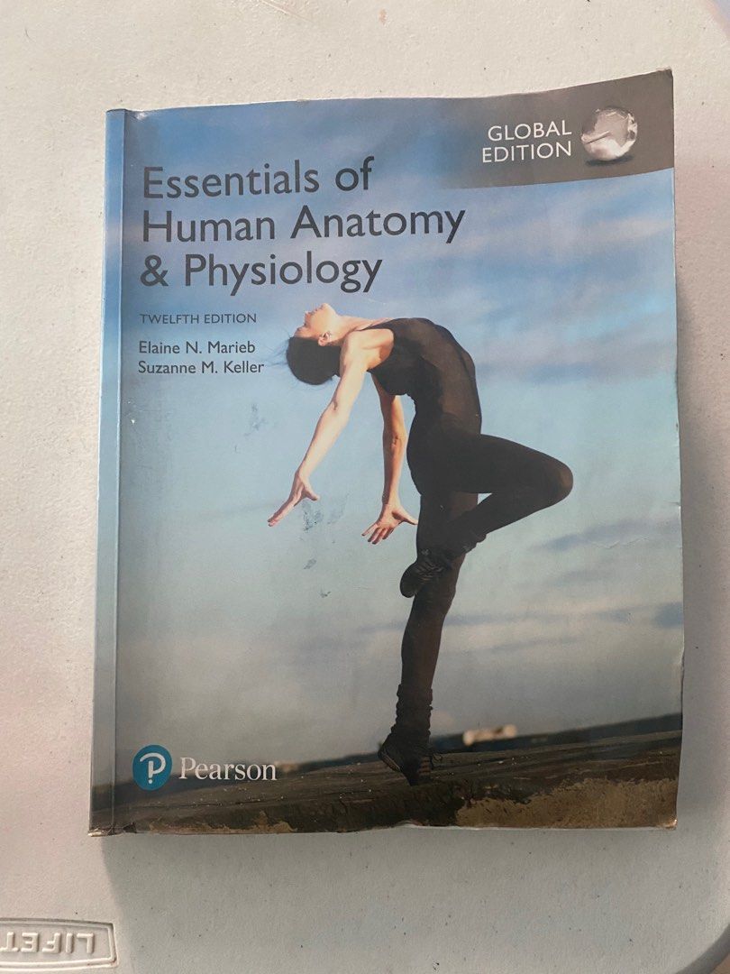 Essentials of Human Anatomy and Physiology 12th ed, Hobbies & Toys ...