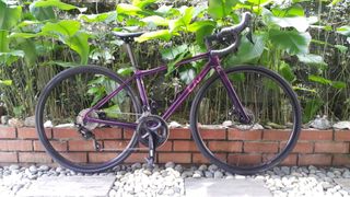 (Category: ) located in . Submitted by izzylatif (Listing ID 1319531063, Image 1). Description: .