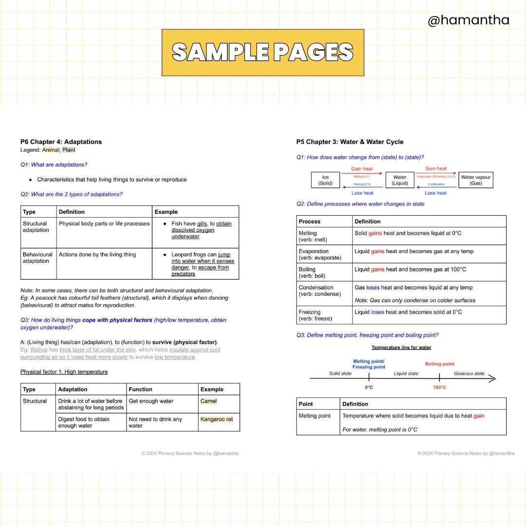 PSLE Science Notes (P3, P4, P5, P6) - PDF Digital Product, Hobbies ...