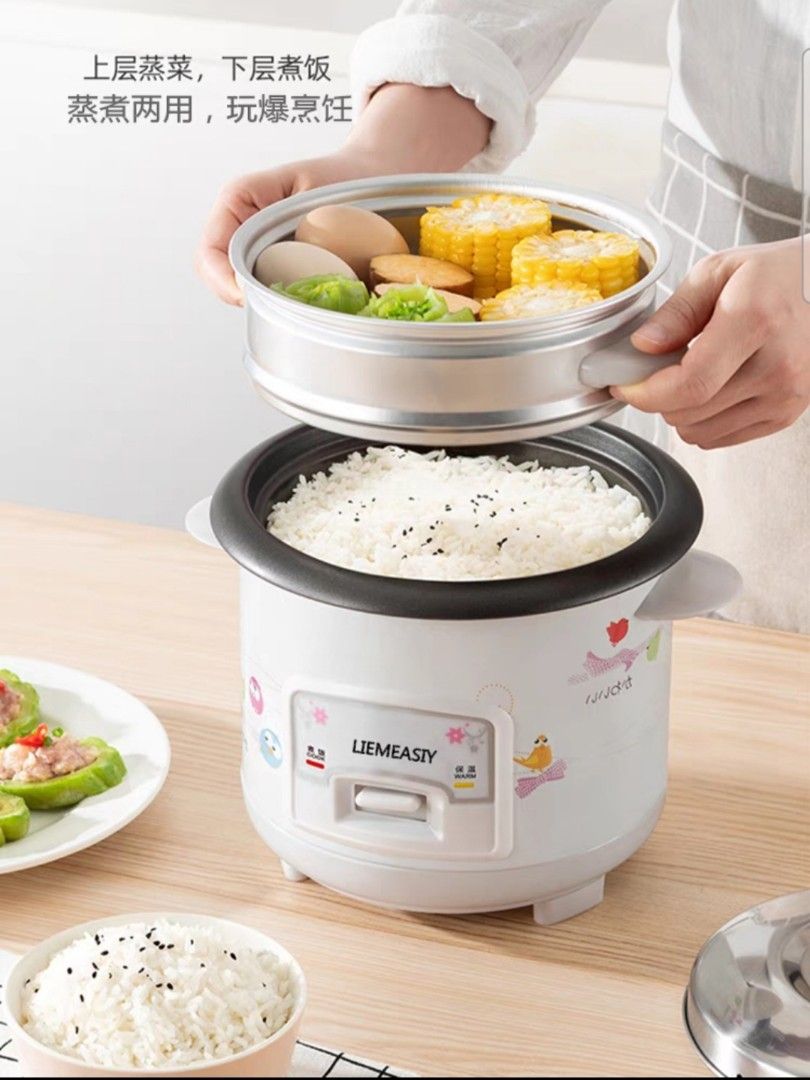RC2 Wholesale 3L 4L plastic kitchen electric rice cooker with non stick coating inner pot