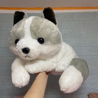 （分類：）位於 。 由 _0109 提交（商品編號 1319824270，圖片 1）。簡介： 。
