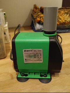 (Category: ) located in . Submitted by archie2000 (Listing ID 1319810560, Image 1). Description: .