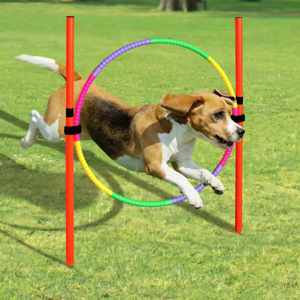 Dog Agility Equipment Portable Pet Training Equipments Dogs Jumping Training Tool Outdoor Dogs Running Stake Sports Stakes Poles