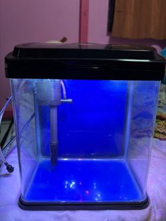 (Category: ) located in . Submitted by iisastriyani (Listing ID 1319760441, Image 1). Description: .