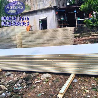 INSULATED SANDWICH PANEL FOR WALK IN FREEZER / CHILLER / CLEANROOM