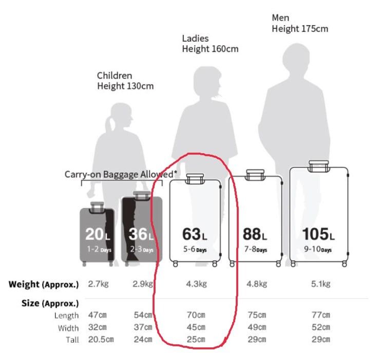 有保養Japan Muji medium size, check in suitcase, good shape, with