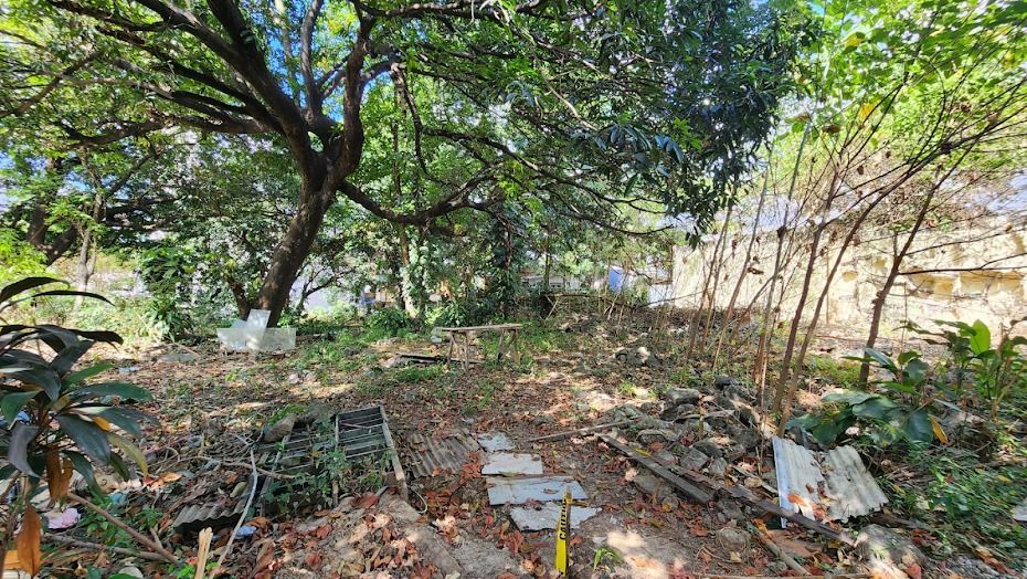 Residential Vacant Lot in Heroes Hill Subd., Brgy. Santa Cruz, Quezon ...