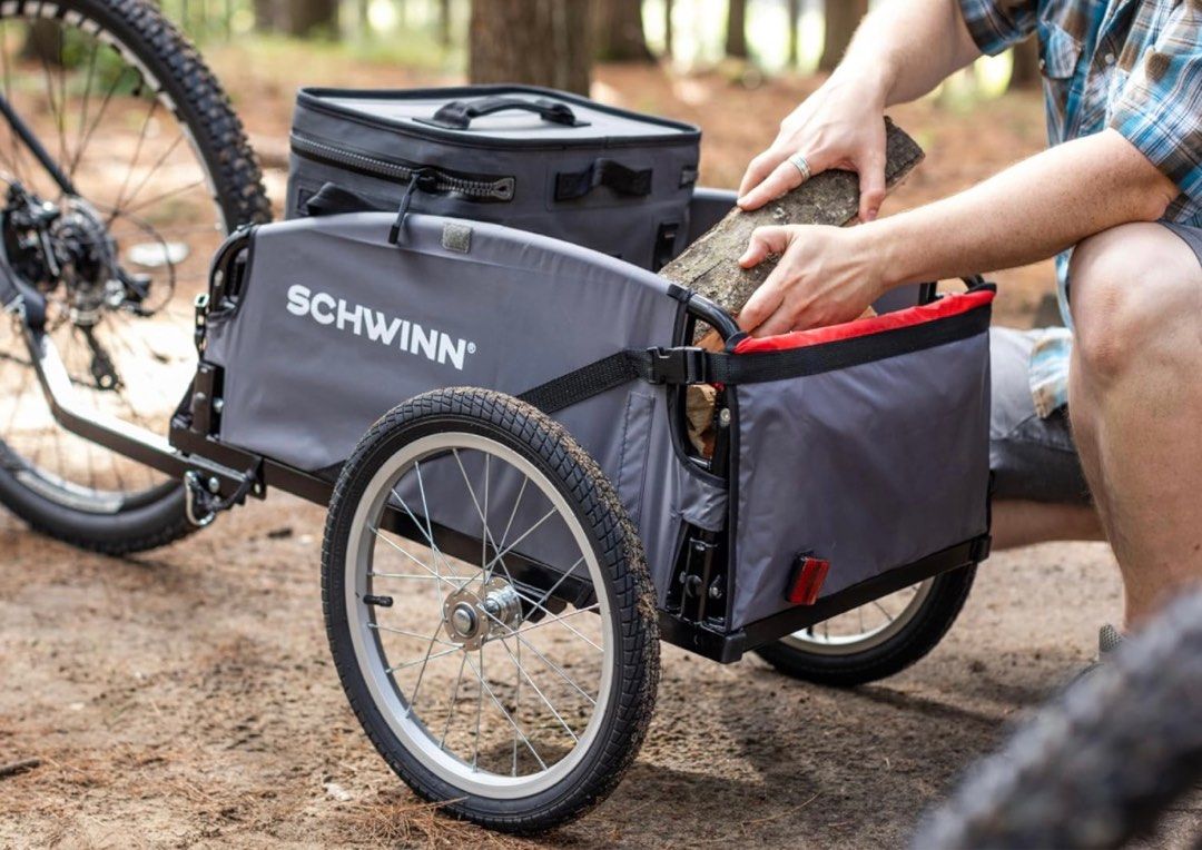 Schwinn daytripper top