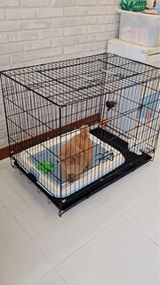 (Category: ) located in . Submitted by huat78 (Listing ID 1319979477, Image 1). Description: .