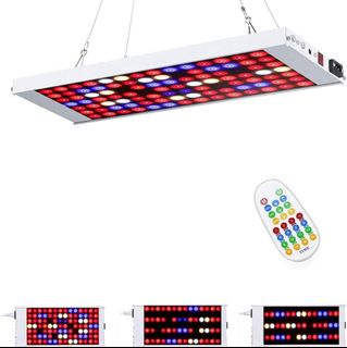 (Category: ) located in . Submitted by franklogic (Listing ID 1319965716, Image 1). Description: .