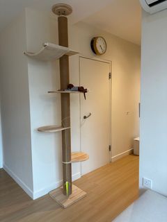 (Category: ) located in . Submitted by moumouren (Listing ID 1319958928, Image 1). Description: .