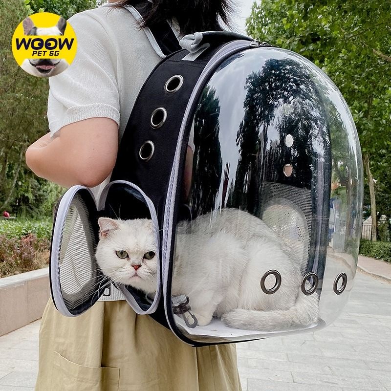 Kitty travel backpack shop