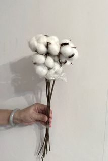 （分類：）位於 。 由 timon_c 提交（商品編號 1320177927，圖片 1）。簡介： 。