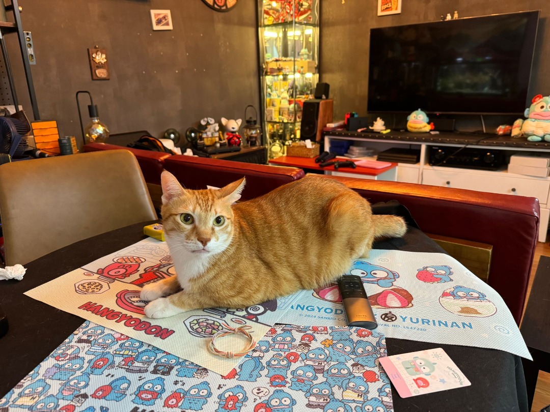 🦊池記桌遊場 Partyroom 麻雀房62863124286466114