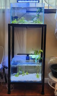 (Category: ) located in . Submitted by bella129 (Listing ID 1320116551, Image 1). Description: .