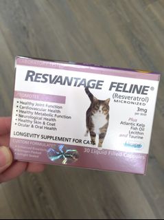 （分類：）位於 。 由 refinepetshop 提交（商品編號 1317525173，圖片 1）。簡介： 。