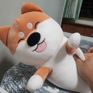 (Category: ) located in . Submitted by jfyyy (Listing ID 1320342454, Image 1). Description: .