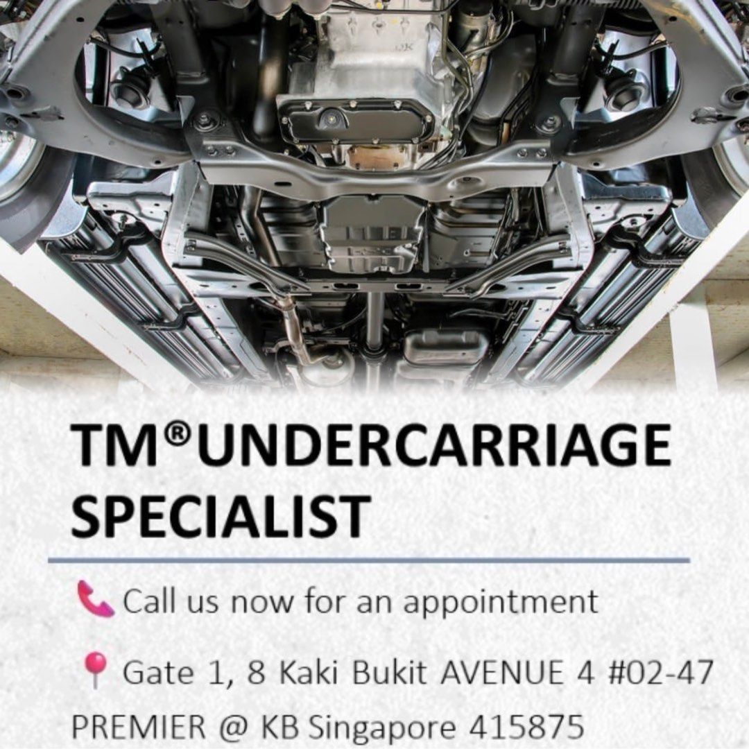 Undercarriage Car Repair Servicing Steering Rack Driveshaft Pinion