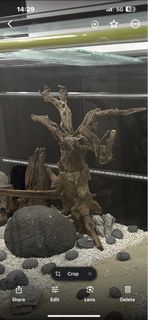 (Category: ) located in . Submitted by alriq (Listing ID 1306893278, Image 1). Description: .
