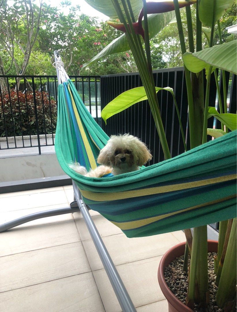 Ikea hammock stand