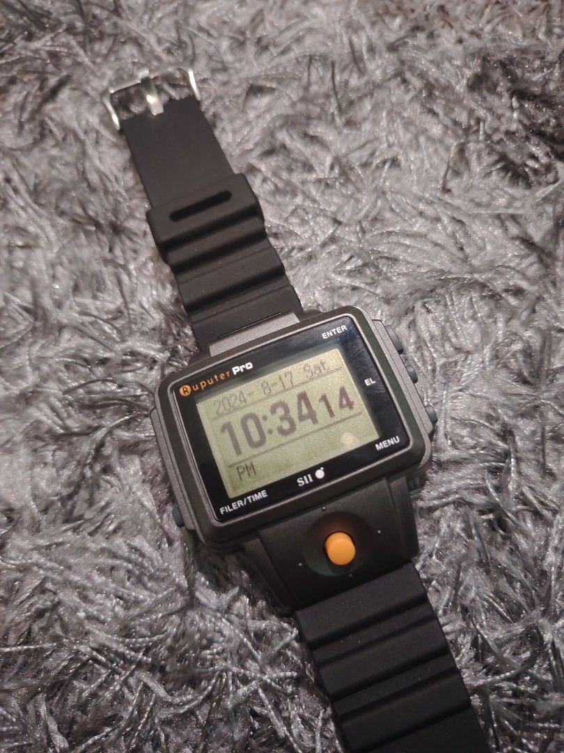 Seiko ruputer price online