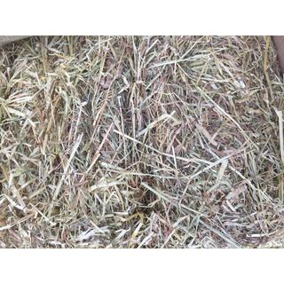 (Category: ) located in . Submitted by hayoforest (Listing ID 1320480052, Image 1). Description: .