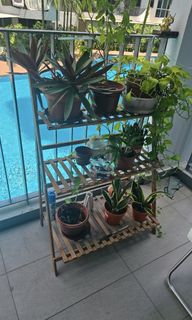 (Category: ) located in . Submitted by ankush88 (Listing ID 1320603173, Image 1). Description: .