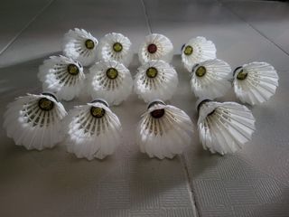 （分類：）位於 。 由 muansic 提交（商品編號 1320654003，圖片 1）。簡介： 。