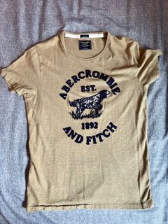 Hollister shirts amazon online
