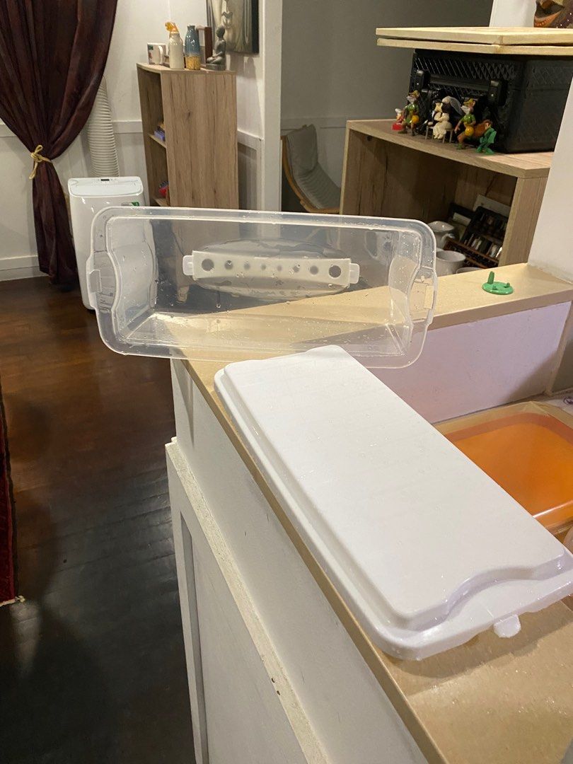 Bread container (Category: Food Organisation & Storage) located in Singapore. Submitted by shaan1901 (Listing ID 1320635959, Image 1). Description: In very good condition. Like new. Used for bread storage only.no damage .