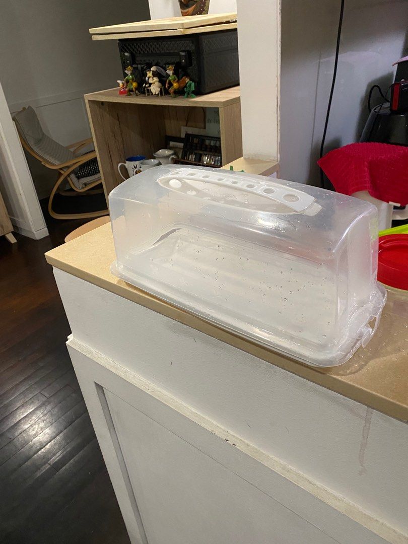 Bread container (Category: Food Organisation & Storage) located in Singapore. Submitted by shaan1901 (Listing ID 1320635959, Image 2). Description: In very good condition. Like new. Used for bread storage only.no damage .