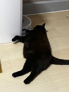 （分類：）位於 。 由 ccckhing 提交（商品編號 1320611411，圖片 1）。簡介： 。