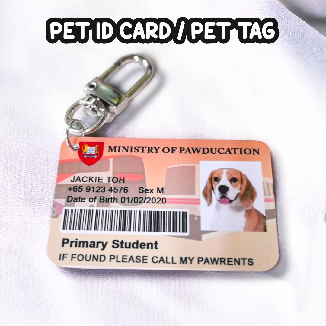 NDP PET MOE EDUCATION STUDENT PASS Identity Pet Tag Card 2 Sided dog tag cat tag student pass ic nric Pet Supplies Homes Other Pet Accessories on Carousell