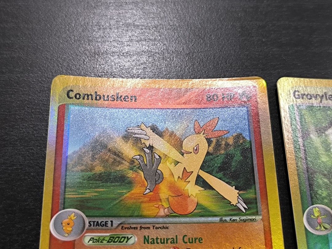 pokemon combusken card English CGC 10 EX Ruby & Sapphire Uncommon Combusken 28 – Slab Hound main image 1