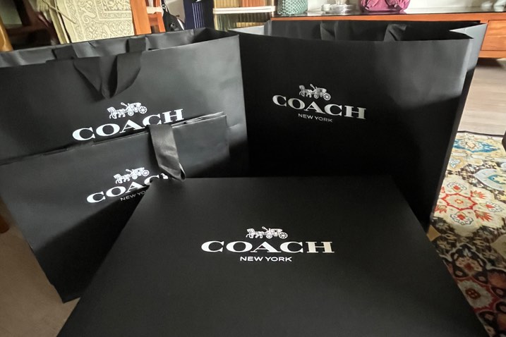 Big Box Paper Bag Coach Luxury Accessories on Carousell