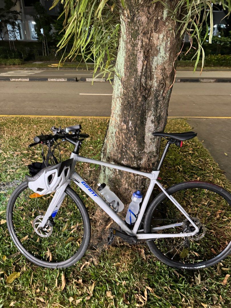 Giant Fastroad SL2 Size L under warranty free tyre tube provided PLEASE READ DESCRIPTION Sports Equipment Bicycles Parts Bicycles on Carousell
