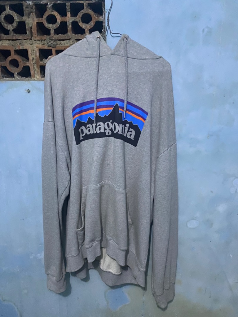 Hoodie patagonia original sale