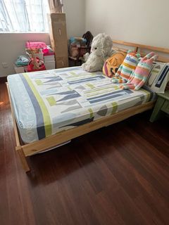 (Category: ) located in . Submitted by plantsforjoy (Listing ID 1320843606, Image 1). Description: .