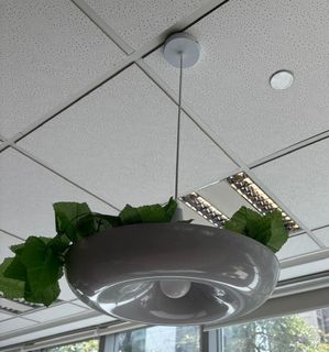 (Category: ) located in . Submitted by filipon (Listing ID 1320785155, Image 1). Description: .
