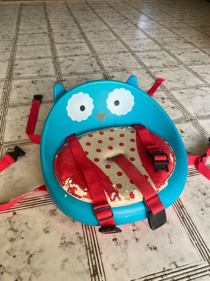 Skip hop owl booster seat clearance