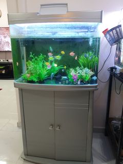 (Category: ) located in . Submitted by putriezz (Listing ID 1317810319, Image 1). Description: .