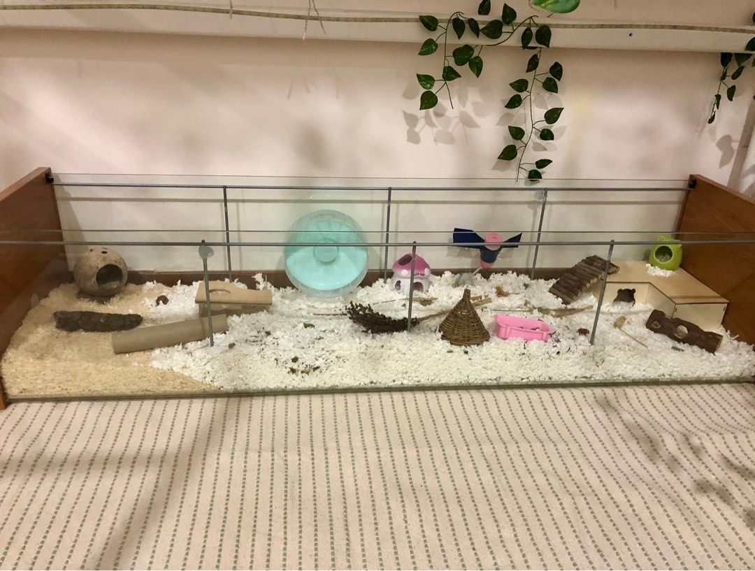 Hamster ikea detolf shop
